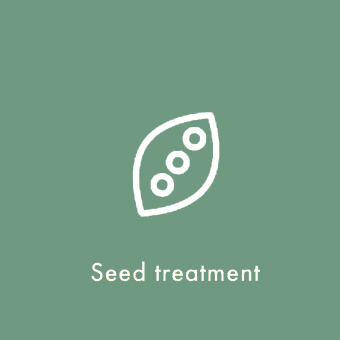 Seed treatment