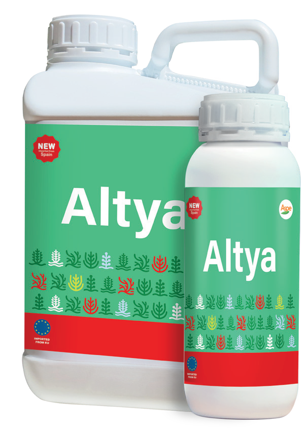 AltyaSEAWEED EXTRACTS + AMINOACIDS- ORGANIC BIOSTIMULANTComposition / %w/vFree Amino Acids 11,60 Total Organic Matter 23,00Potassium (K2O) 3,00Fulvic Acids 13,30Total Nitrogen (N) 1,40Ascophyllum nodosum extract 20,00Ecklonia maxima extract 0,30ANA (Naphthaleneacetic acid) 500ppmANA-amide 1250ppmFolic acid (Vitamin B9) 150ppm