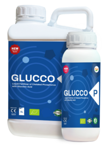 Glucco PLiquid Fertilizer of ChelatedPhosphorus with Gluconic AcidComposition / %w/vPhosphorus (P₂O₅) 40,0 Chelating agent - Gluconic acidDensity 1,32