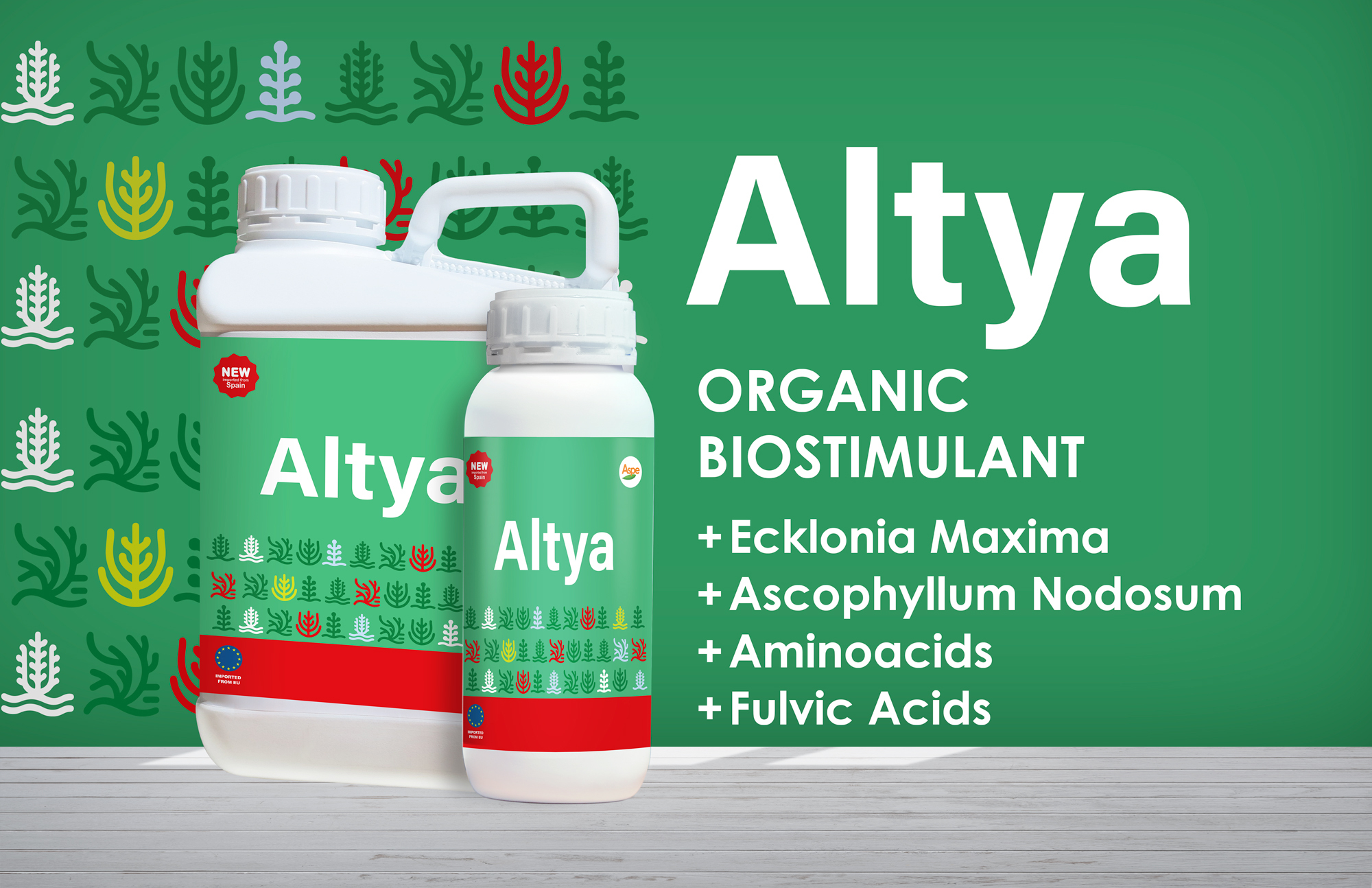 imagen_web_altya_pres01_wb01