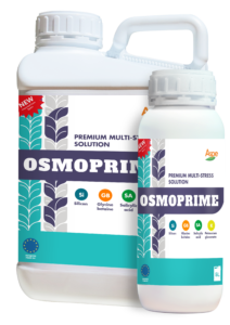 Osmoprime